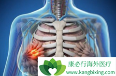 ���ٰ�ҩ�������鵥��(perjeta)�ڹ�����������