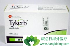 ��������(Tykerb)���ӳ�������Һ�ٻ��ߵ������ȶ���