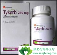 ��������(Tykerb)����ҩ��������ҩ������Ӧ