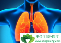 ��������(Alecensa)/��������Էΰ���ת�ƵĿ���Զ���ڿ�������