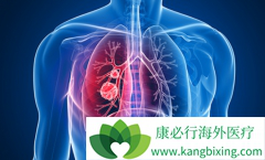 �ΰ�ҩ�ﰬ������/����������û����л������������������