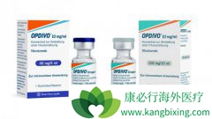 PD-1���Ƽ�Oҩ�ڹ���һ������׼�˶�������Ӧ֢��