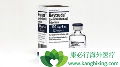 PD-1����Keytruda�뿹��ҩ��ż���Ƽ����ü����������ٰ�����
