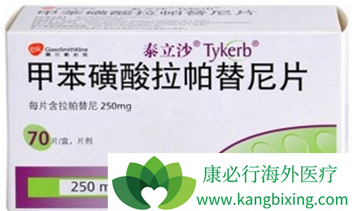 拉帕替尼 拉帕替尼