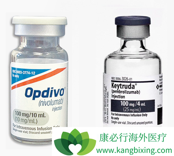 PD-1抗体 PD-1抗体