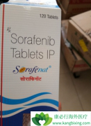 ����ҩ����������(Sorafenib)���������ڰ�֢ʱ�������