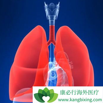 克唑替尼 克唑替尼