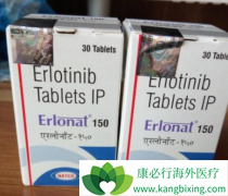 ������ʷ���й�Ů�Էΰ����߸��ʺ������޿�(Erlotinib)����