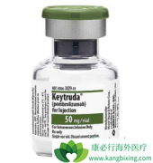 ������������ǧ���ܽ����ǶȰ���PD-1ҩ����ķ����һ��ʹ��