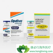 PD-1����Opdivo��CTLA-4���Ƽ�Yervoy�������ƺ�ɫ������Ч����ô��