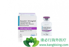 ��Ѫ������ҩ������EGFR-TKI���ڷΰ�������Ч��