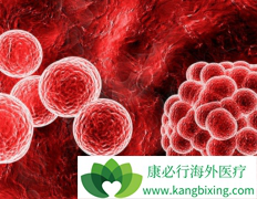 ������������/������ҩ����Ҫԭ����ʲô