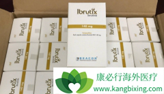 �ϼ�����³����(Ibrutix)������Ч���б���