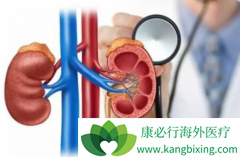 ��������(Inlyta)��������ת��������Ч�������������