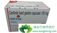 ɫ������(Ceritinib)�İ�ȫ�Ժ���Ч�����֤����