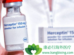 ����͡(herceptin)�ı�׼��ҩʱ��Ӧ�ó���һ������