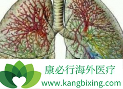 ����᲼(cyendiv)�����ܼ��������չ���ܽ���IPF���Լ��ط���