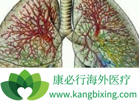 尼达尼布 尼达尼布