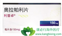 �ҹ��׸��ѳ�������ҩ���������/������������ҩ�Ż���