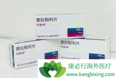 PARP���Ƽ���������/����׿����׼������Щ�ѳ������ߣ�