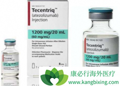 ������Щ���ʱ����Ӧ��ֹʹ�ð����쵥��(Tecentriq)