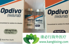 ���䵥��(opdivo)��Ϊ�ҹ��ΰ����ߴ������õ��������