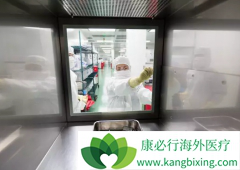 ʵ��������ʹ��CAR-T�Ʒ�����Щ�׶ˣ�