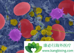 ���ǶȰ�/�����׵����ϱ���Ī˾͡����������ϸ���ܰ���������