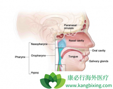 ����ҽҩ����PD-1���忨�����鵥�����Ʊ��ʰ�������Ч��