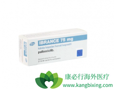 ���ٰ���HER-2�������ٰ���������Ҫ����