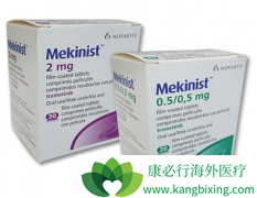 ��������(Mekinist)�����������ú�ɫ���������ʽ���һ��