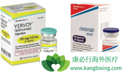 ��ƥľ����(Yervoy)��Oҩ����Ʒ��������������͵Ľ�ֱ����