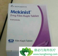 ���ڲ��������г��ĺ�ɫ����������������������Щע�����