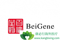 �ѳ�����ҩPARP���Ƽ�Pamiparib��BGB-290���ǰټ����ݵ��ص�ҩ��