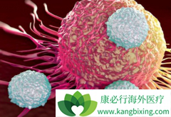 ����ѪҺ��֢CAR-T�Ʒ�����������������ļ�����