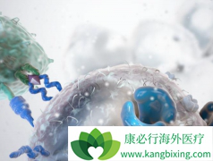 ��Ѫ��������ʹ��CAR-T��ƷKymriahʱ��Ҫע��Щʲô