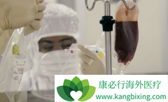 �Ĵ�CAR-Tϸ���Ʒ�������Щ����