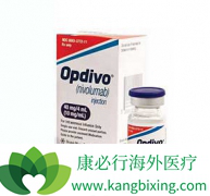 ����ҩ�����䵥��(opdivo)������FDA��׼����Ӧ֢����Щ��