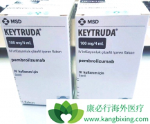 PD-L1�����ܷ�Ԥ���PD-1���������Ч����