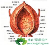 �˽���װ��������ؼ����װ�֢״