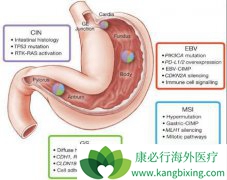 �����ǲ������Ű�֢״֮һ�����Ű�������Щ֢״��