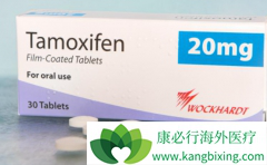 ��Ī����/ŵ�ߵ�ʿ������Ч����Դ�����Ŀ��Ƽ�������