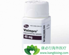 ������������һ����HER�Ķ���EGFR-TKI���Ƽ�