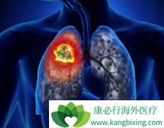 ��Сϸ���ΰ�����ȫ��ҩ�ﲨ�������ʹ��Ч������