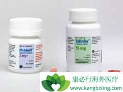 ���������������������Ʒ��밲ο����ȿ��������ͺ�ɫ������������