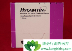 ϲ�����������в��濵��topotecan�����Ƹ������ѳ�����Ч��