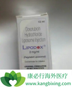 ����������ϲ��໯�������ѳ������ߵ�Ч��