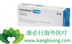 �ϼ��������ַ�����(Lenvicca)��ԭ��ҩ���ٴ������пɵȼ����滻