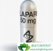 ��������(Olaparib)���й����ߵ�����Ч����������Ⱥ�в����