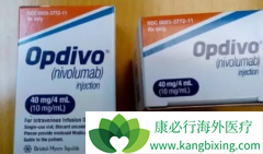 ���䵥��(opdivo)��ʹ���ָ�TMBСϸ���ΰ����߳��ڻ���